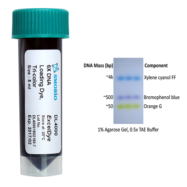 exceldye-6x-dna-loading-dye-tri-color-5ml-x-2-boca-scientific